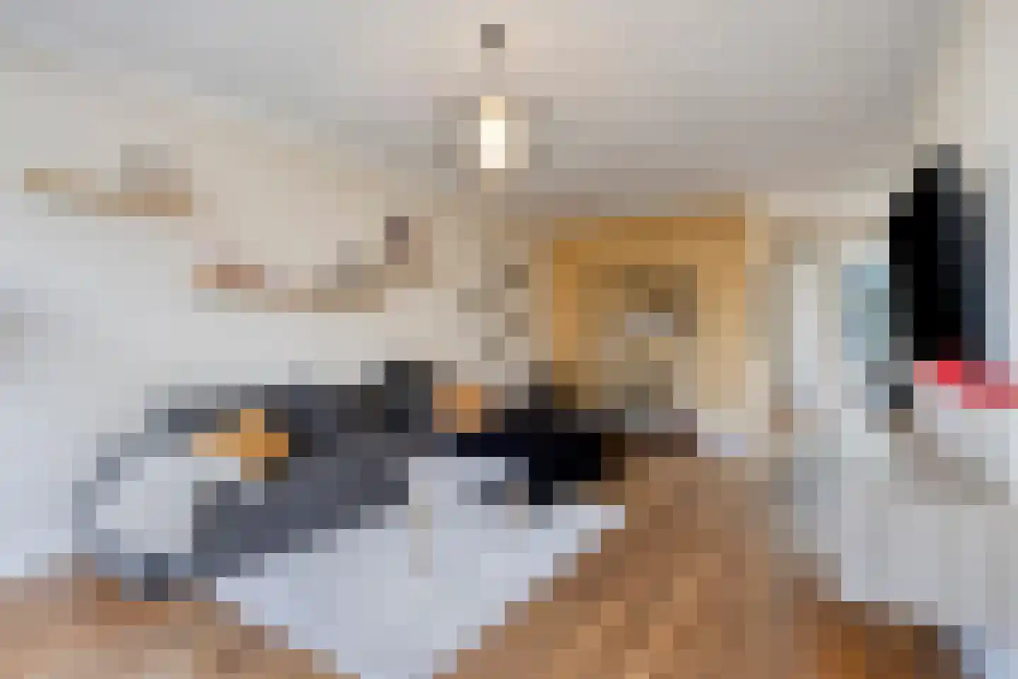 Liesbergstraat 19 Eindhoven thumbnail 7