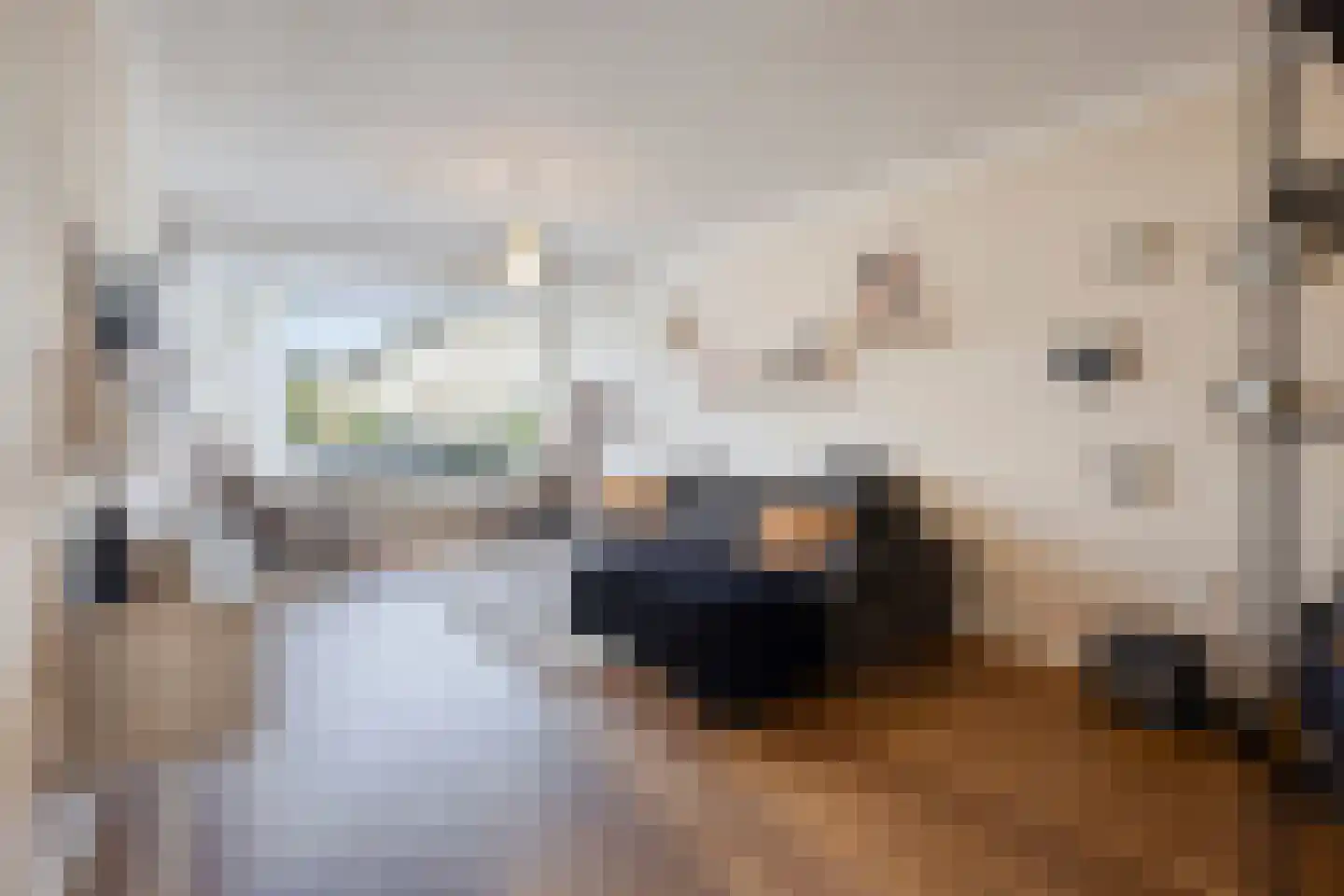 Liesbergstraat 19 Eindhoven thumbnail 8