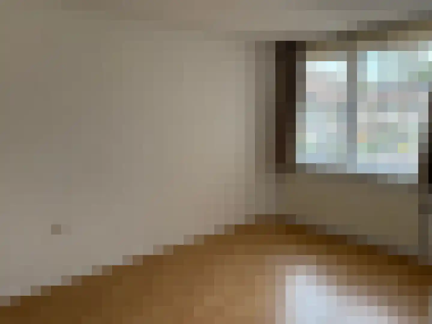 Liesbergstraat 24 Eindhoven thumbnail 21