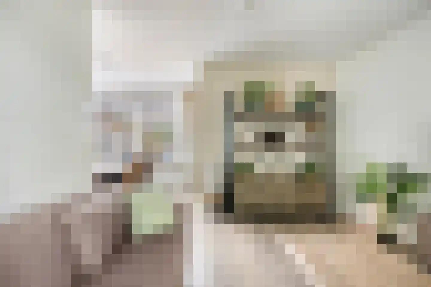 Liesbergstraat 37 Eindhoven thumbnail 14