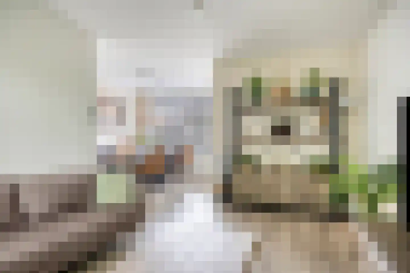 Liesbergstraat 37 Eindhoven thumbnail 15