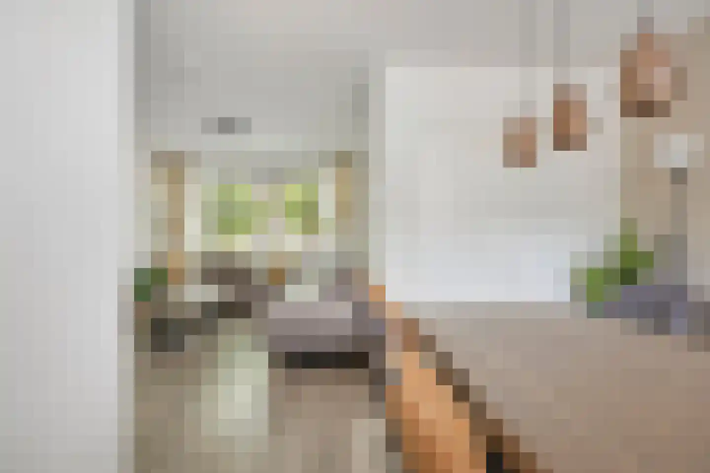 Liesbergstraat 37 Eindhoven thumbnail 18
