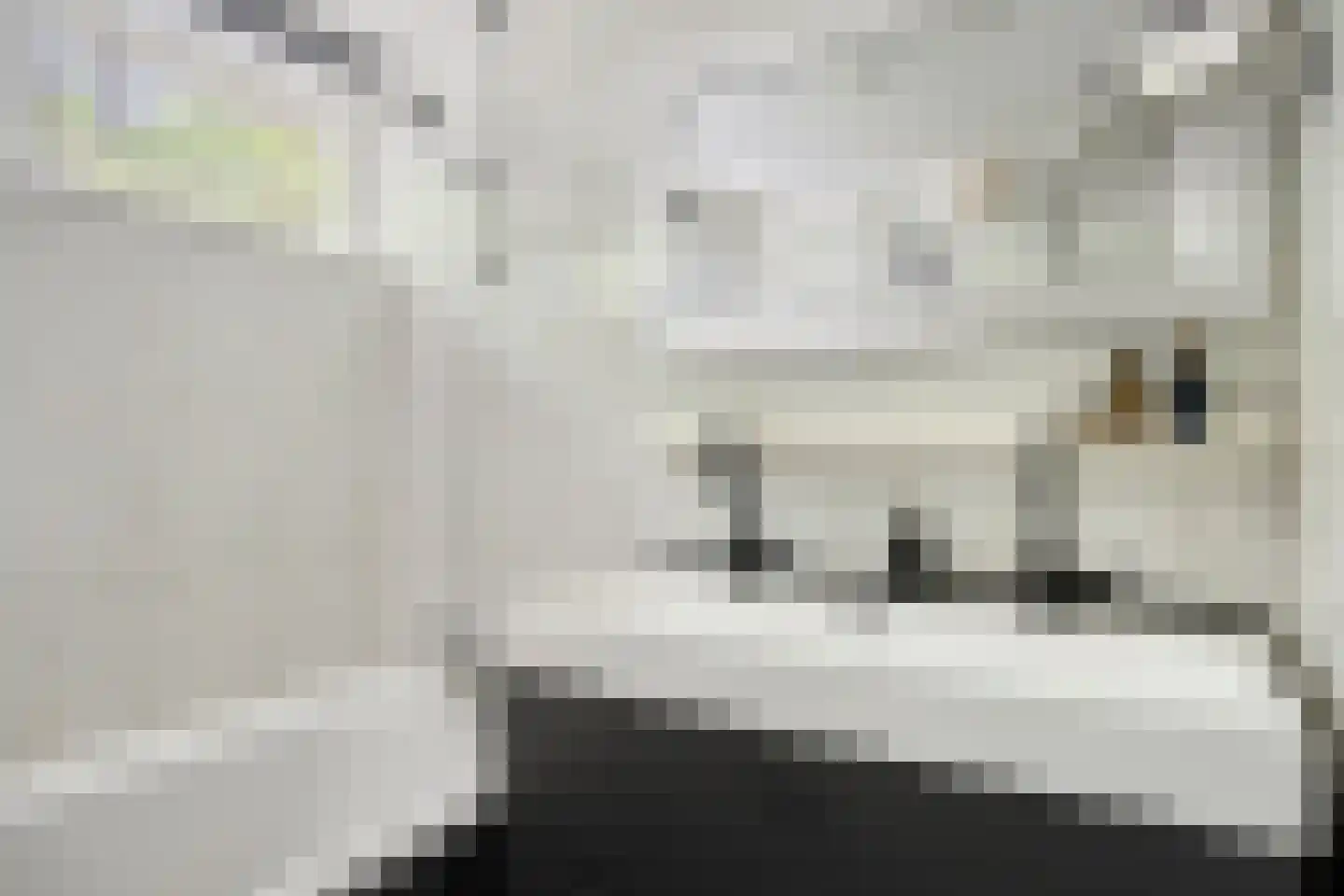 Liesbergstraat 37 Eindhoven thumbnail 35