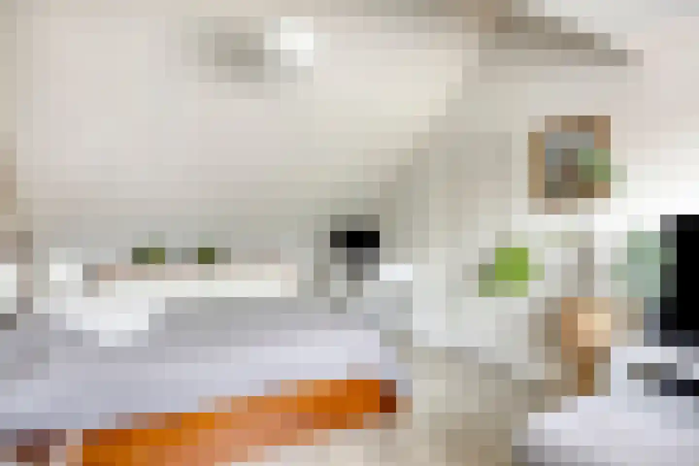 Liesbergstraat 37 Eindhoven thumbnail 46