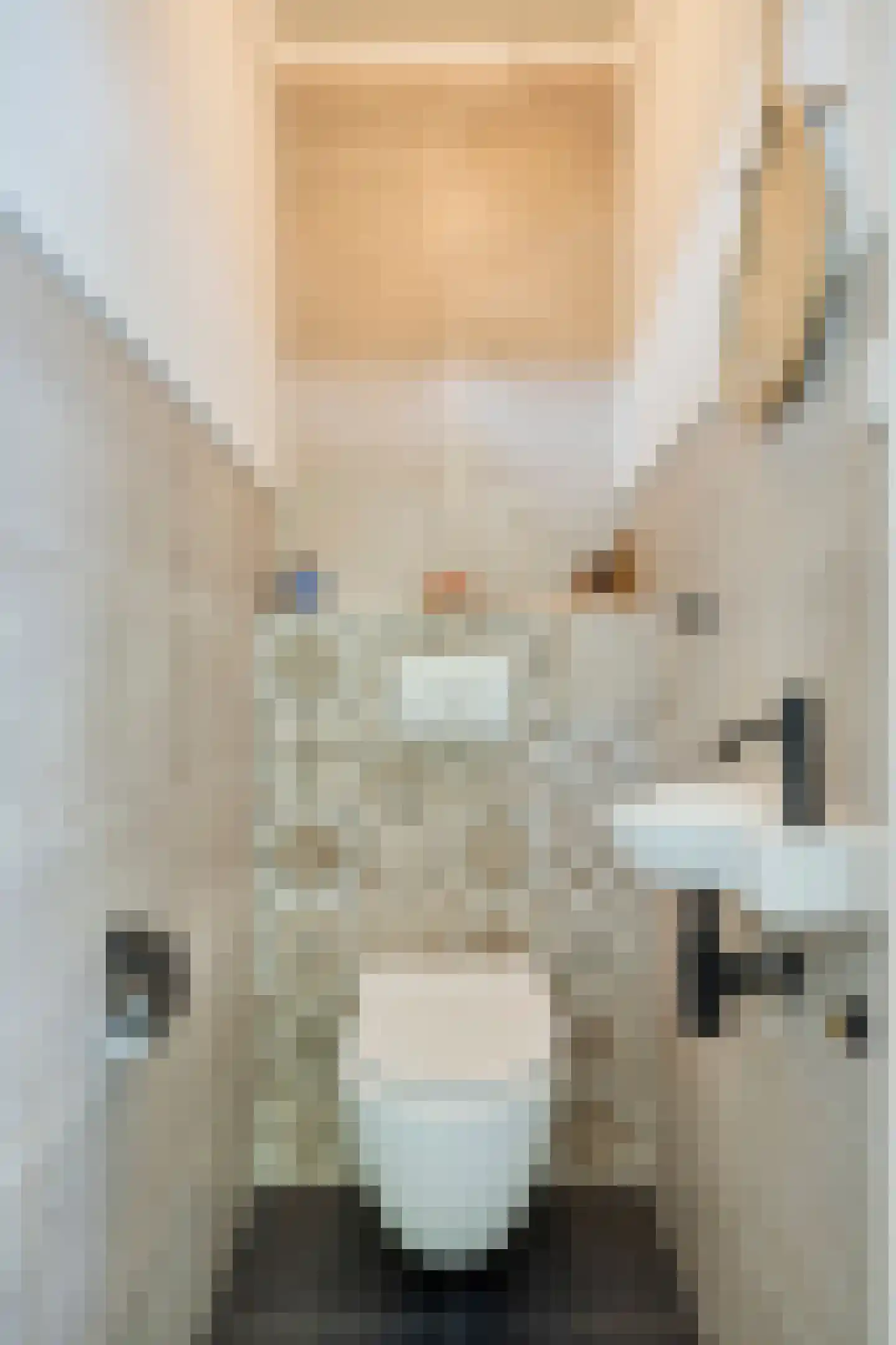 Liesbergstraat 37 Eindhoven thumbnail 5