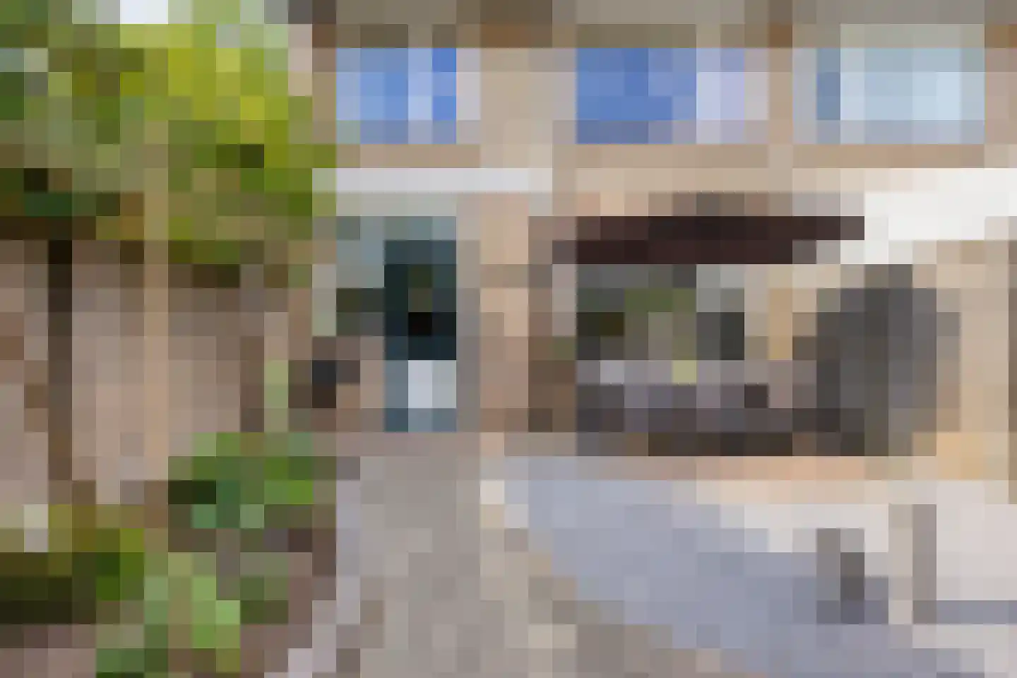 Liesbergstraat 37 Eindhoven thumbnail 52
