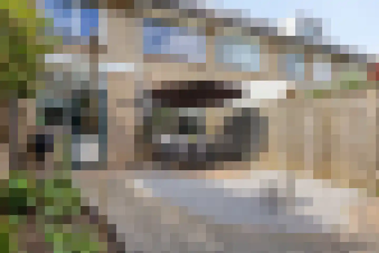 Liesbergstraat 37 Eindhoven thumbnail 53