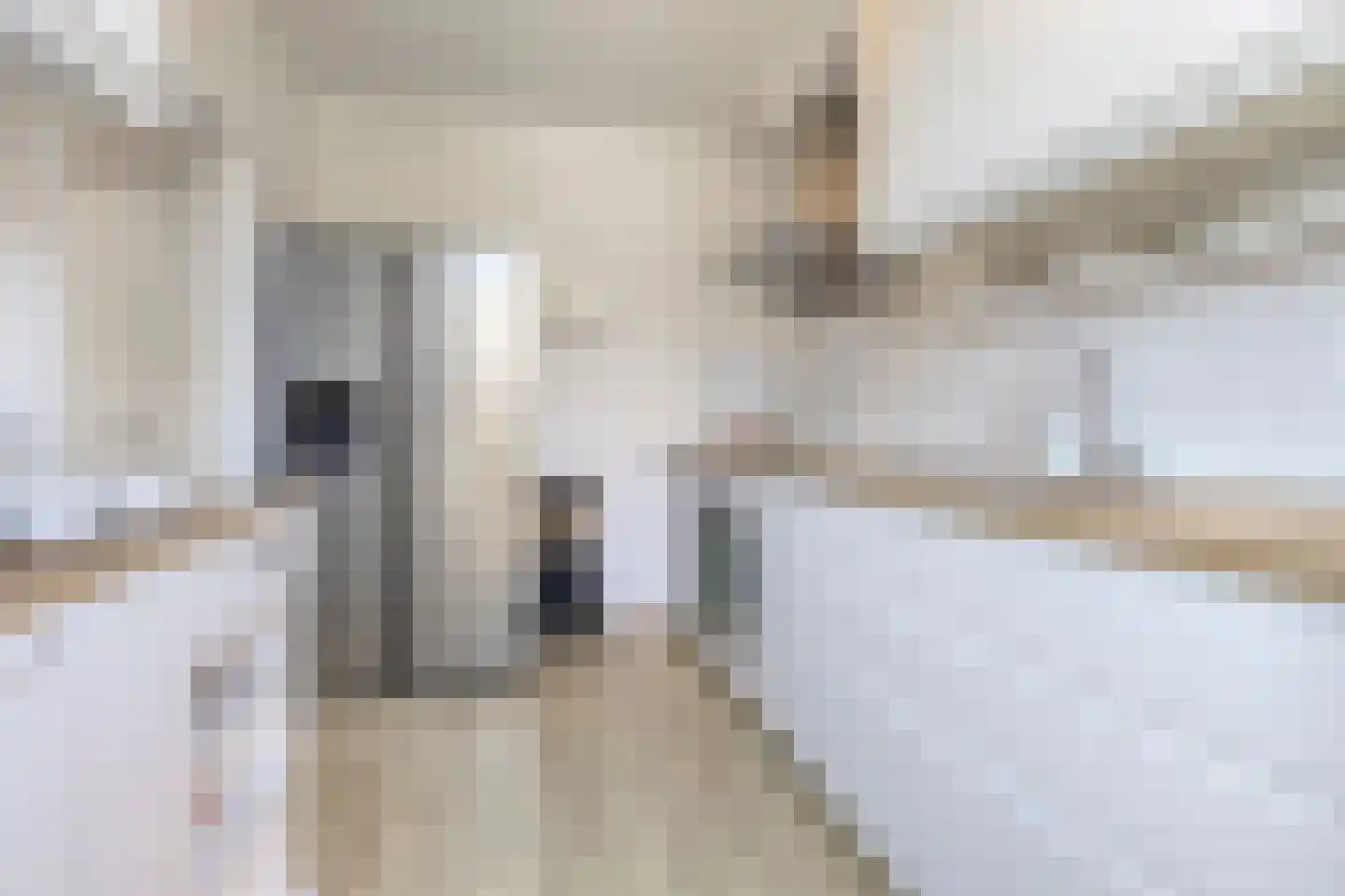 Liesbergstraat 4 Eindhoven thumbnail 14