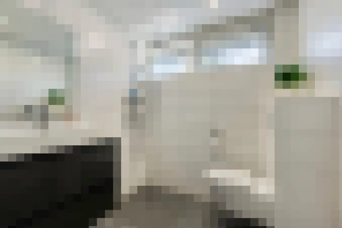 Liesbergstraat 4 Eindhoven thumbnail 20
