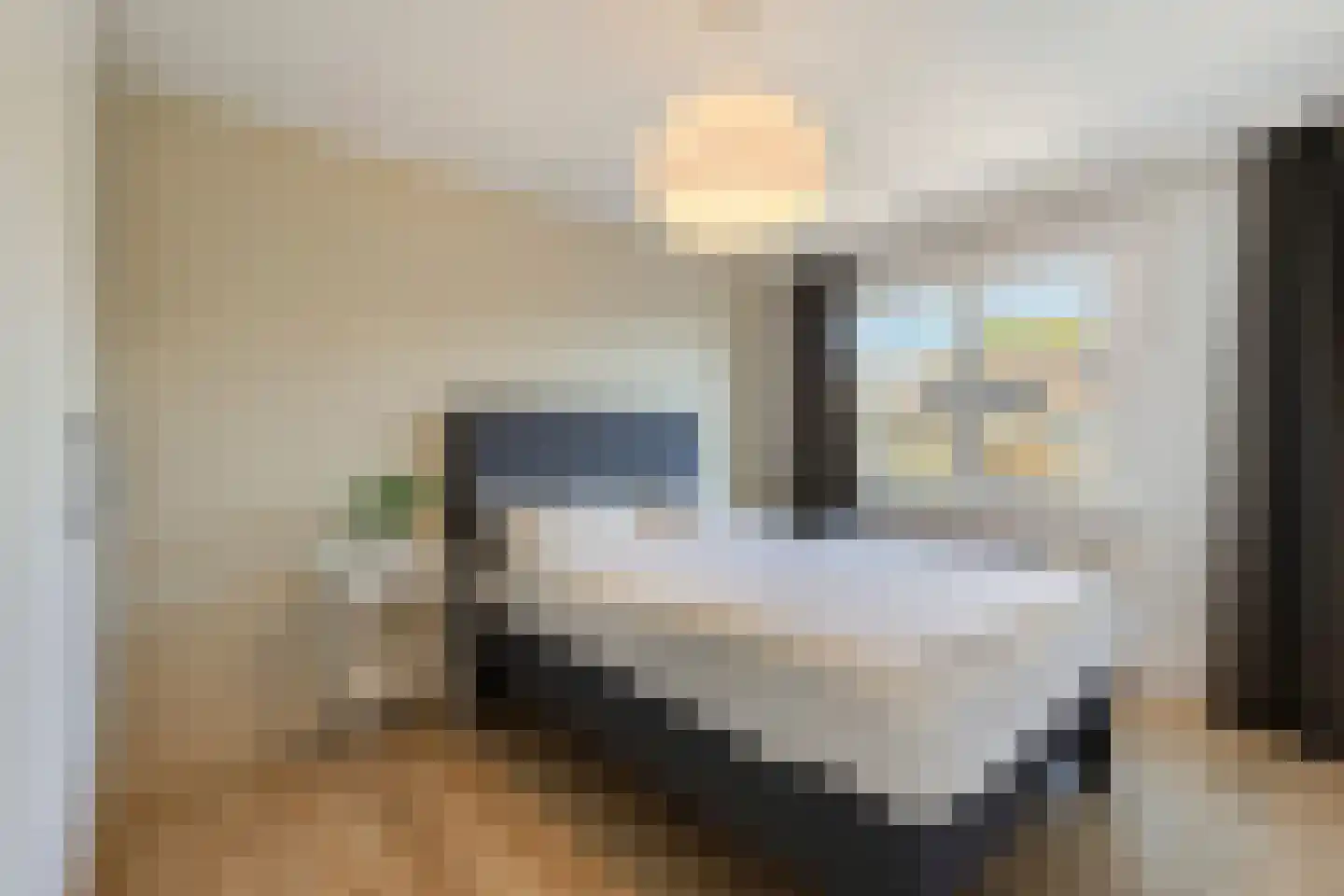 Liesbergstraat 4 Eindhoven thumbnail 24