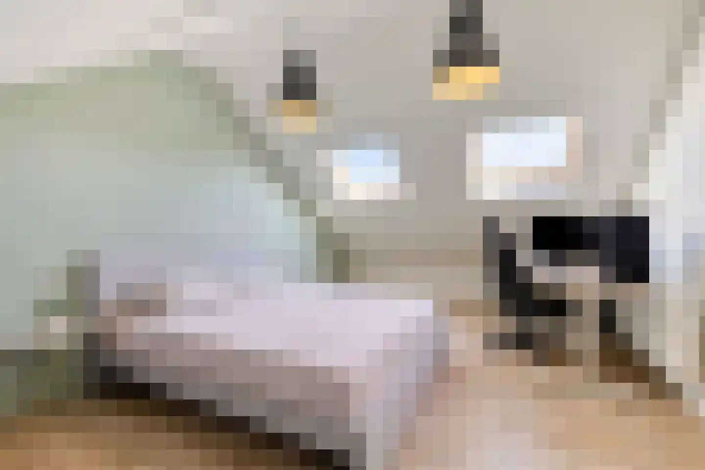 Liesbergstraat 4 Eindhoven thumbnail 4