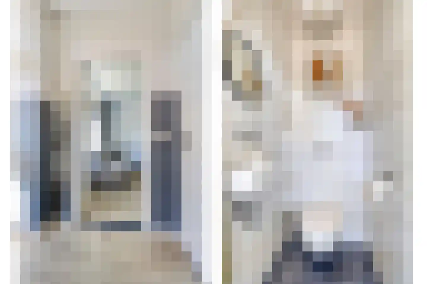 Liesbergstraat 4 Eindhoven thumbnail 5