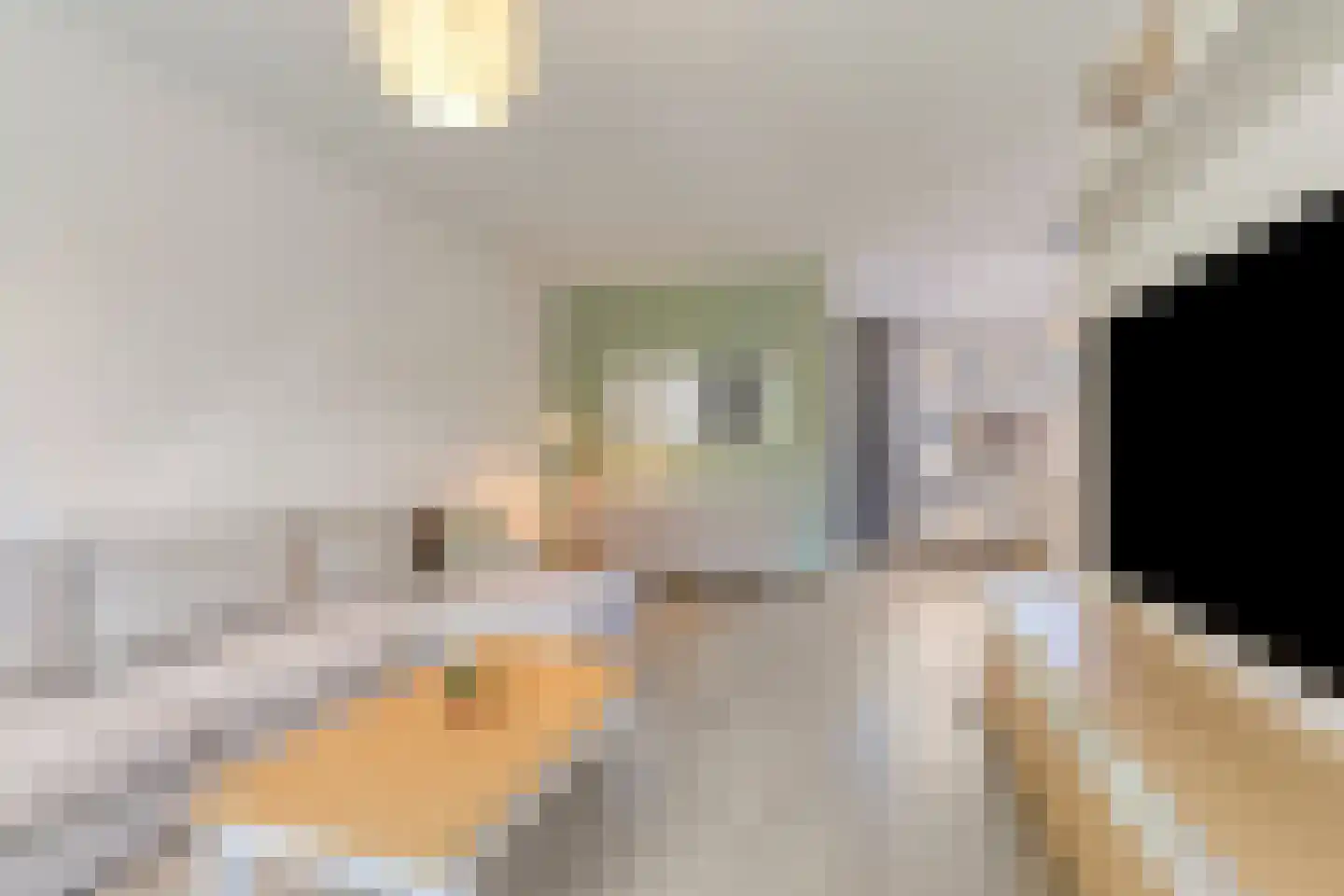 Liesbergstraat 4 Eindhoven thumbnail 8