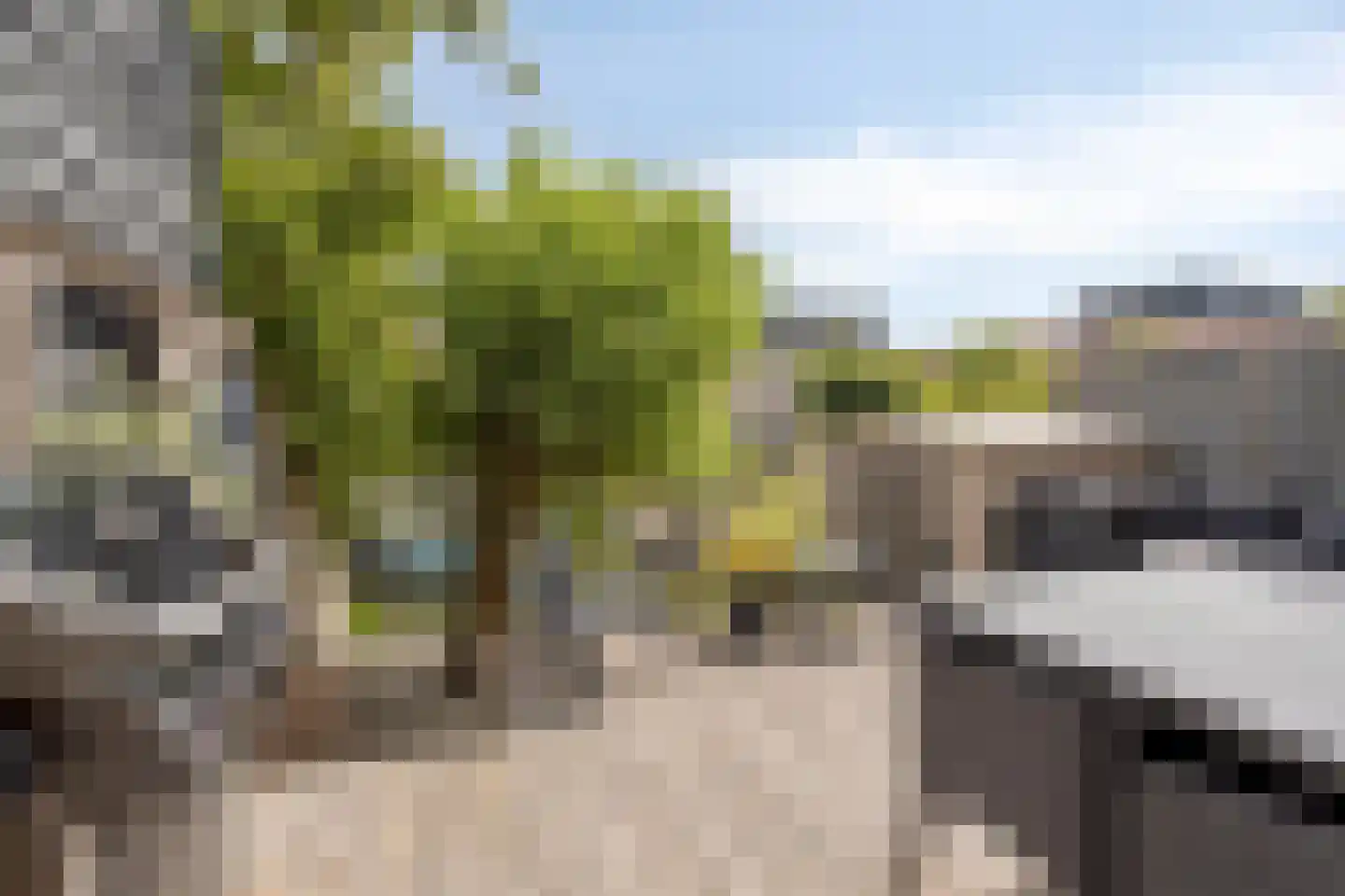 Liesbeth Tilanusland 10 Heerhugowaard thumbnail 6