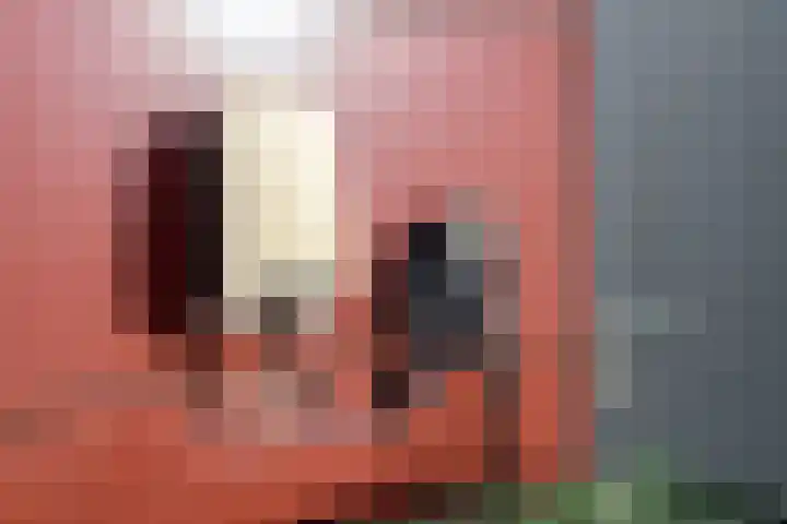 Liesbeth Tilanusland 4 Heerhugowaard thumbnail 33