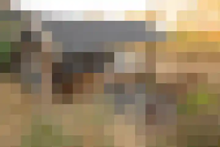 Liesbeth Tilanusland 4 Heerhugowaard thumbnail 4