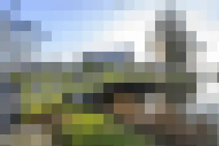 Liesbeth Tilanusland 4 Heerhugowaard thumbnail 40