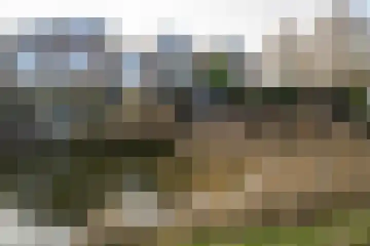 Liesbeth Tilanusland 4 Heerhugowaard thumbnail 5
