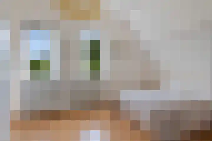 Liesbos 106 Hoofddorp thumbnail 26