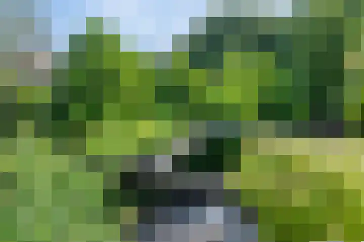 Liesbos 106 Hoofddorp thumbnail 33