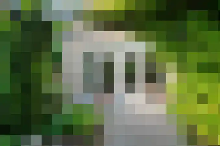 Liesbos 106 Hoofddorp thumbnail 35