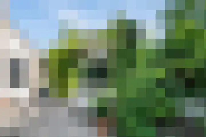Liesbos 106 Hoofddorp thumbnail 36