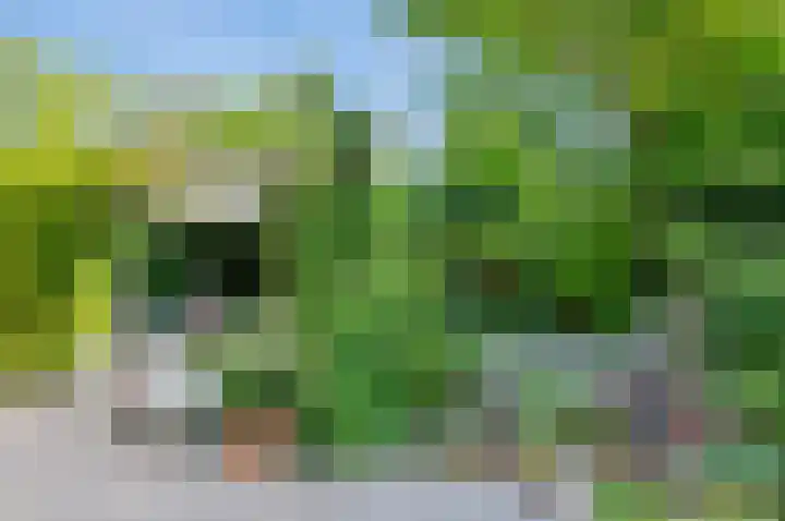 Liesbos 106 Hoofddorp thumbnail 37