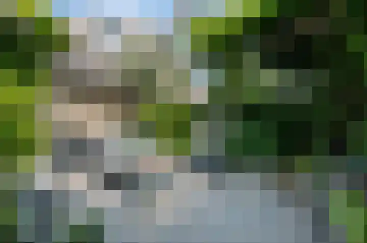 Liesbos 106 Hoofddorp thumbnail 38
