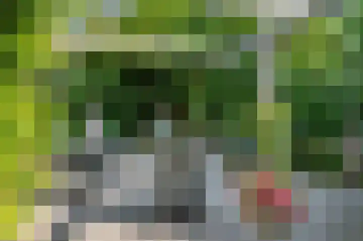 Liesbos 106 Hoofddorp thumbnail 39
