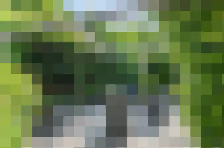 Liesbos 106 Hoofddorp thumbnail 40