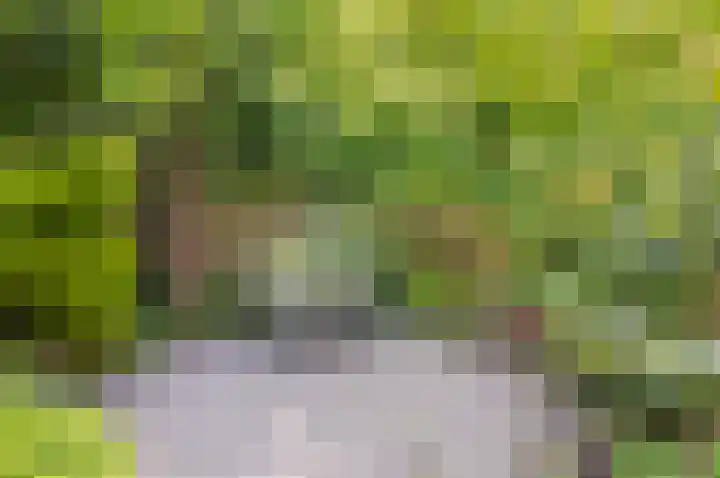 Liesbos 106 Hoofddorp thumbnail 41