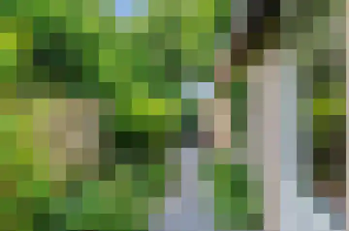 Liesbos 106 Hoofddorp thumbnail 42