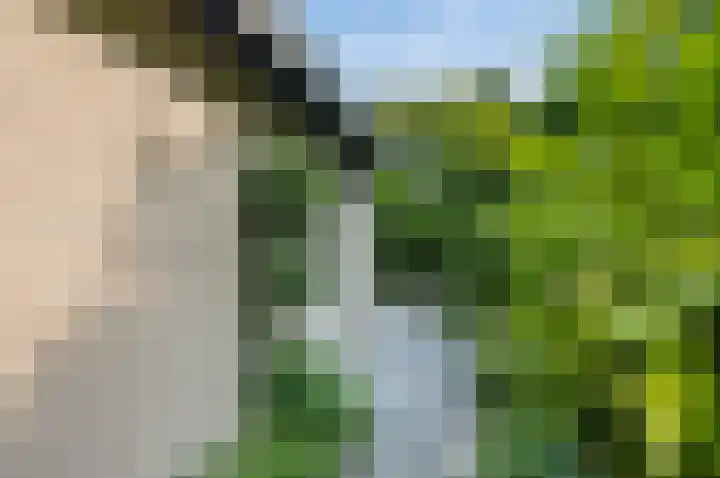 Liesbos 106 Hoofddorp thumbnail 43