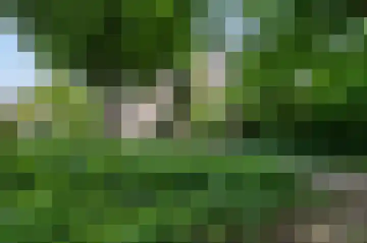 Liesbos 106 Hoofddorp thumbnail 44