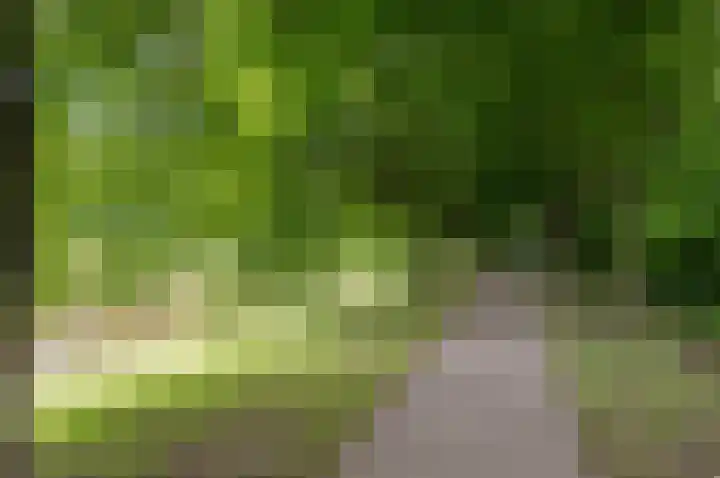 Liesbos 106 Hoofddorp thumbnail 45