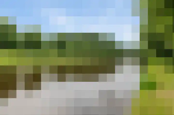 Liesbos 106 Hoofddorp thumbnail 47