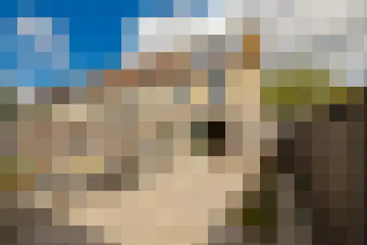 Liesbos 142 Hoofddorp thumbnail 11