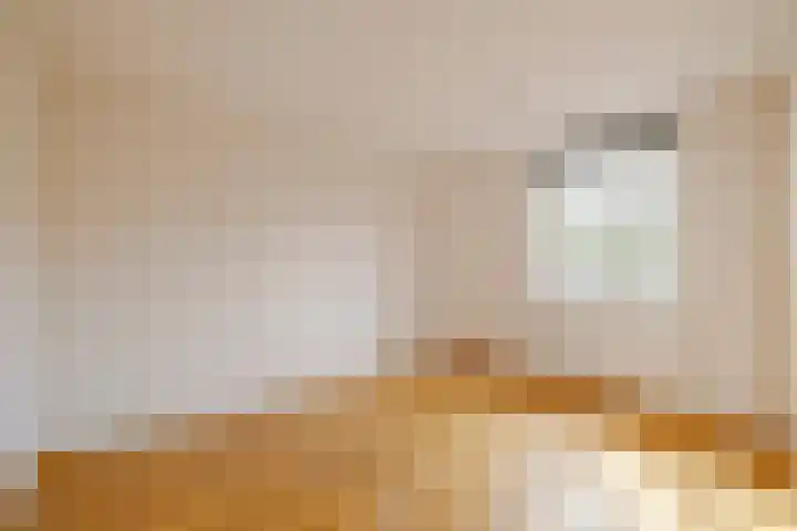 Liesbos 142 Hoofddorp thumbnail 13