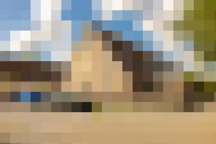 Liesbos 142 Hoofddorp thumbnail 32
