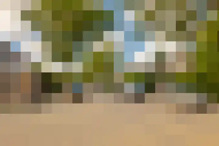 Liesbos 142 Hoofddorp thumbnail 36