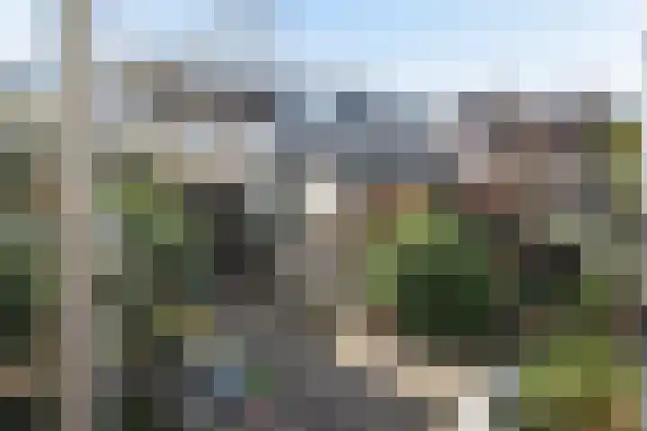 Liesbos 152 Hoofddorp thumbnail 25