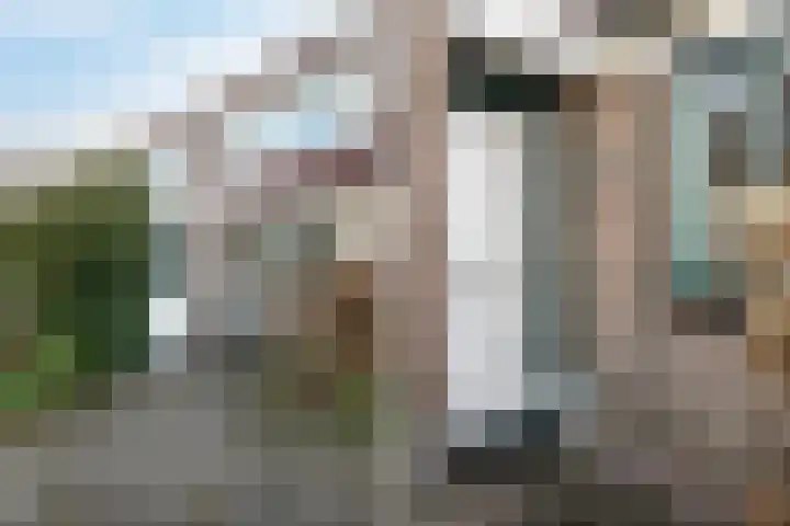 Liesbos 152 Hoofddorp thumbnail 6