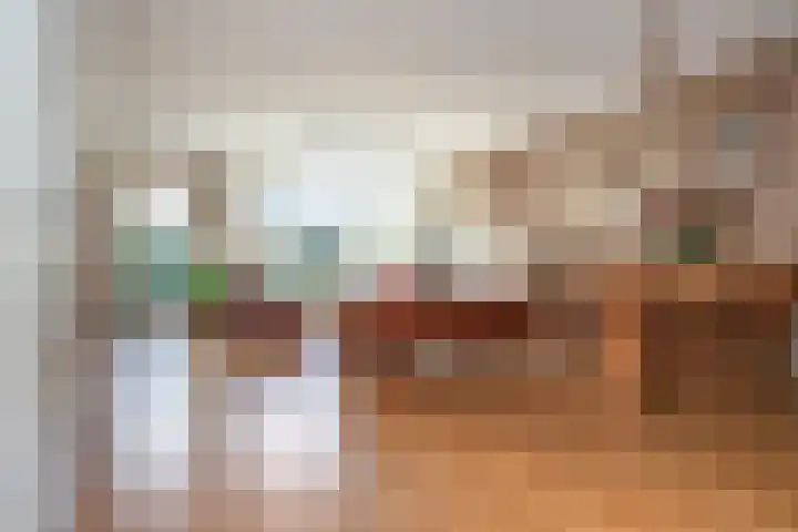 Liesbos 152 Hoofddorp thumbnail 8