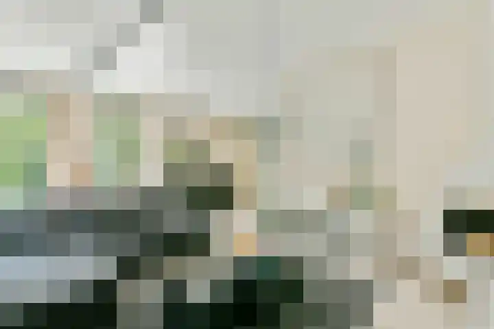 Liesbos 58 Hoofddorp thumbnail 13