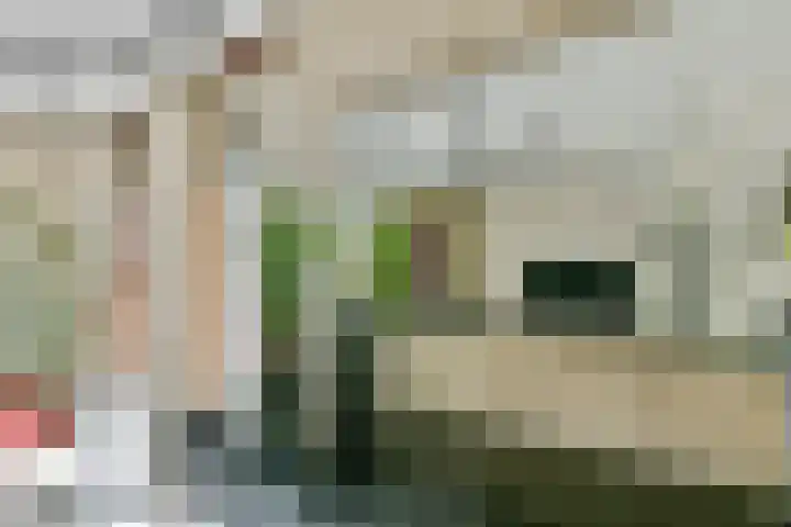 Liesbos 58 Hoofddorp thumbnail 14