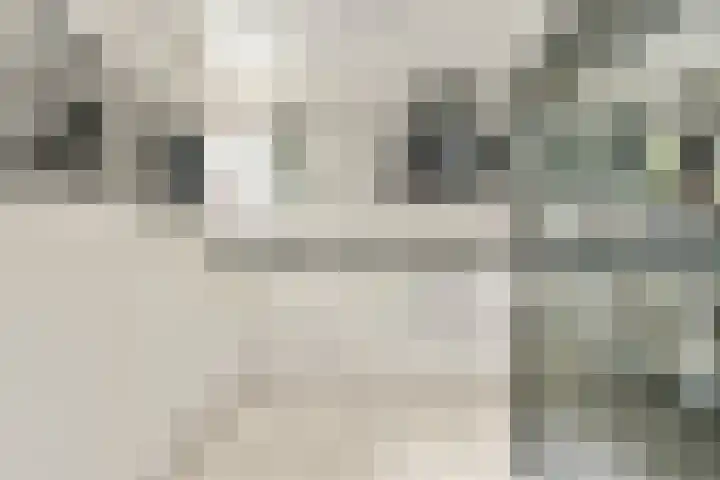 Liesbos 58 Hoofddorp thumbnail 17