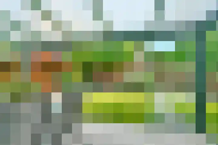 Liesbos 58 Hoofddorp thumbnail 20