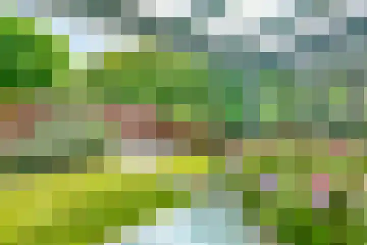 Liesbos 58 Hoofddorp thumbnail 21