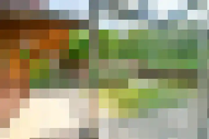 Liesbos 58 Hoofddorp thumbnail 22