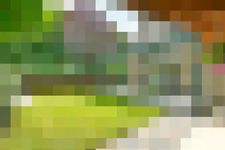 Liesbos 58 Hoofddorp thumbnail 23